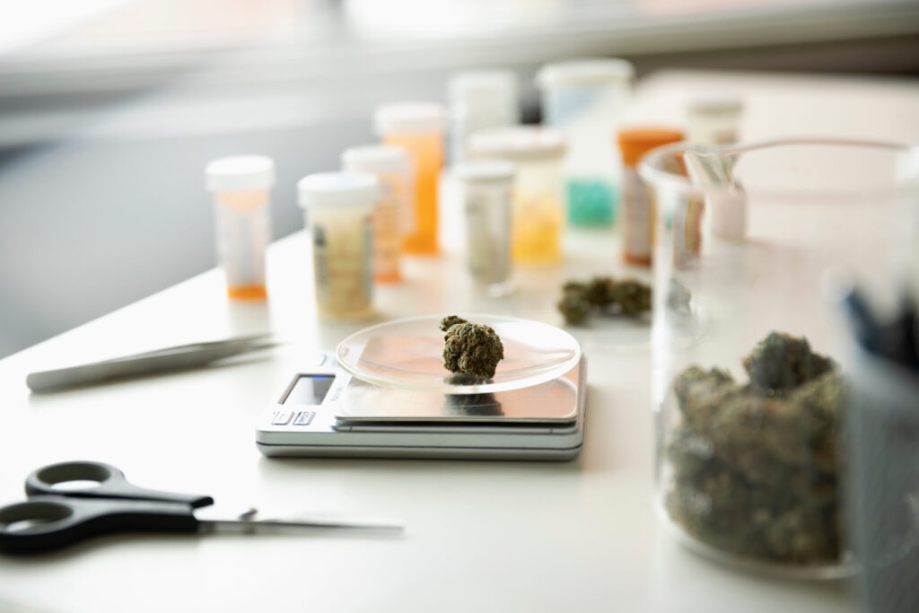 Marijuana bud on scale