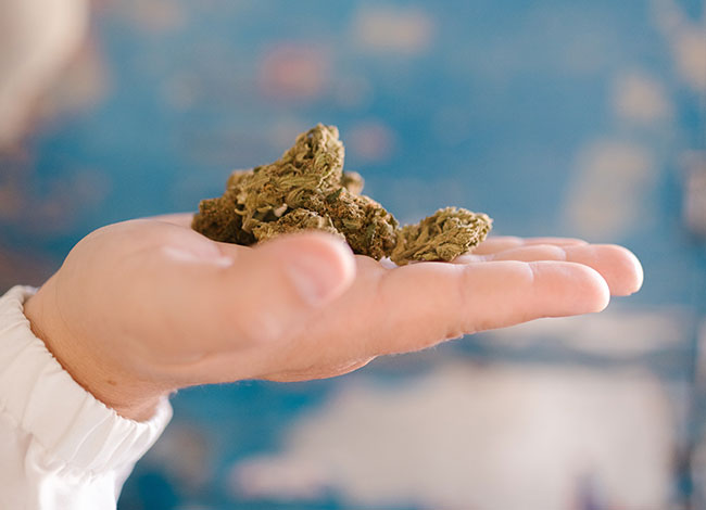 Medical-Cannabis-elios