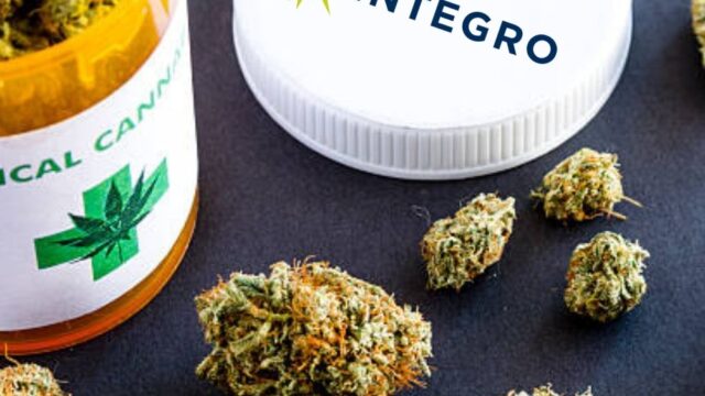 integro clinics medical cannabis