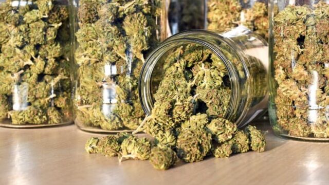 jorja-emmerson-medical-cannabis
