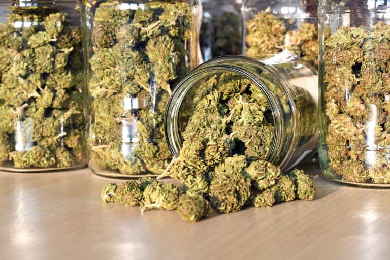 jorja-emmerson-medical-cannabis